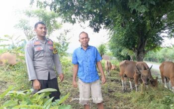 Bhabinkamtibmas Desa Adu Sambangi Warga, Dukung Program Ketahanan Pangan Nasional