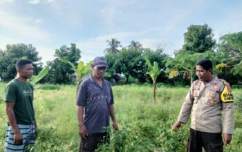 Bhabinkamtibmas Desa Cempi Jaya Pantau Pengolahan Lahan Pekarangan untuk Ketahanan Pangan