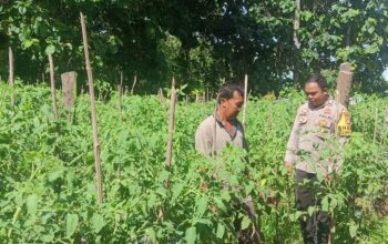 Bhabinkamtibmas Desa Sekongkang Bawah Lakukan Pendampingan Kegiatan Pengelolaan Pekarangan Pangan Bergizi