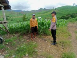 Bhabinkamtibmas Pantau Lahan Pertanian Warga untuk Dukung Ketahanan Pangan