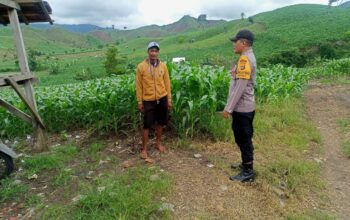 Bhabinkamtibmas Pantau Lahan Pertanian Warga untuk Dukung Ketahanan Pangan