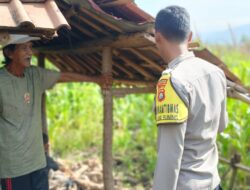 Dukung Ketahanan Pangan, Bhabinkamtibmas Desa Ai Suning Cek Perkembangan Tanaman Jagung Warga