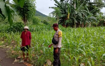 Polsek Kempo Pantau Pengolahan Lahan Pertanian untuk Dukung Ketahanan Pangan