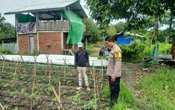 Bhabinkamtibmas Desa Rasabou Pantau Pemanfaatan Lahan Warga untuk Ketahanan Pangan