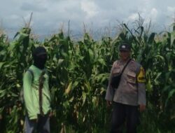 Bhabinkamtibmas Desa Tanju Sosialisasikan Ketahanan Pangan, Ajak Warga Manfaatkan Lahan Pekarangan