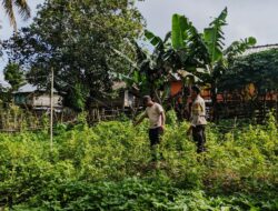Bhabinkamtibmas Desa Mantar Kunjungi Warga Manfaatkan Pekarangan dengan Tanaman Bergizi