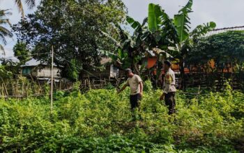 Bhabinkamtibmas Desa Mantar Kunjungi Warga Manfaatkan Pekarangan dengan Tanaman Bergizi