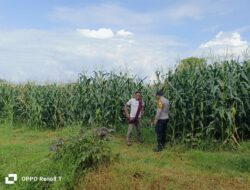 Bhabinkamtibmas Hu’u Pantau Pengolahan Lahan untuk Ketahanan Pangan Nasional