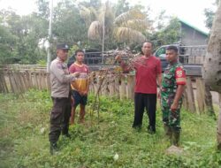 Bhabinkamtibmas Desa Woko Pantau Lahan Pertanian Buah untuk Ketahanan Pangan Nasional