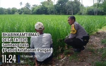 Dukung Program Ketahanan Pangan, Bhabinkamtibmas Tatede Sambangi Sawah Warga