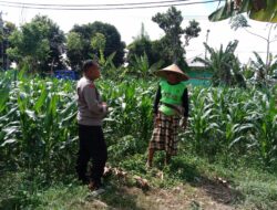 Polisi Sambangi Petani Jagung di Lombok, Beri Motivasi Ketahanan Pangan