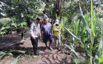 Polsek Hu’u Pantau Pengolahan Lahan Pertanian di Desa Daha untuk Dukung Ketahanan Pangan