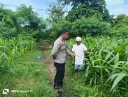 Bhabinkamtibmas Desa Hu’u Pantau Pengolahan Lahan Pertanian Warga untuk Dukung Ketahanan Pangan