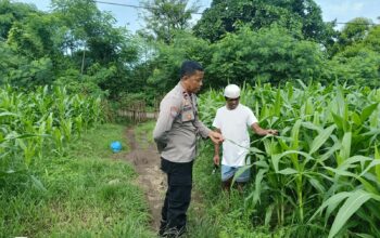 Bhabinkamtibmas Desa Hu’u Pantau Pengolahan Lahan Pertanian Warga untuk Dukung Ketahanan Pangan