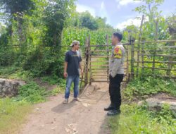 Bhabinkamtibmas Desa Karombo Pantau Lahan Jagung dalam Program Ketahanan Pangan Nasional