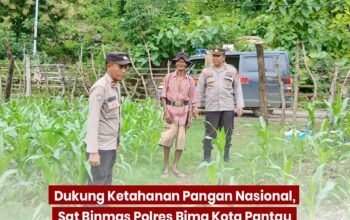 Dukung Ketahanan Pangan Nasional, Sat Binmas Polres Bima Kota Pantau Lahan Pertanian Warga