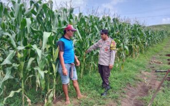 Bhabinkamtibmas Sukadamai Sosialisasikan Ketahanan Pangan Nasional