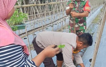 Bhabinkamtibmas Kelurahan Rite Dampingi Pengelolaan Pekarangan Pangan Bergizi