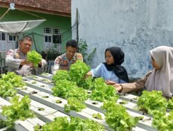 Dukung Ketahanan Pangan, Kasat Binmas Polres Bima Kota Pantau Lahan Pangan Bergizi Warga