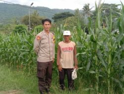 Monitoring dan Pendampingan Bhabinkamtibmas dalam Mendukung Ketahanan Pangan di Desa Lune