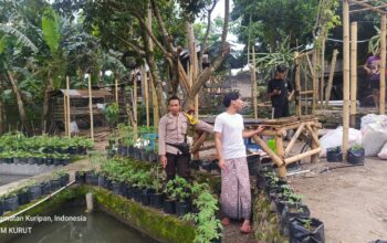 Pemuda Kuripan Dapat Apresiasi Polisi, Dukung Ketahanan Pangan!