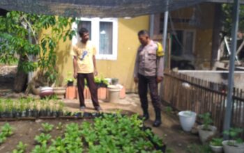 Bhabinkamtibmas Kelurahan Na’e Kontrol Tanaman Pangan dalam Rangka Mendukung Ketahanan Pangan Nasional