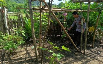 Anggota Polres Sumbawa Barat, Bhabinkamtibmas Desa Tamekan Mengecek Pekarangan Pangan Bergizi Warga Binaan