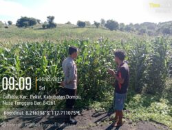 Bhabinkamtibmas Desa Calabai Pantau Lahan Pertanian untuk Program Ketahanan Pangan Nasional