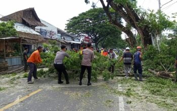 Kapolres Lombok Utara Bantu Warga Bersihkan Ranting Pohon.