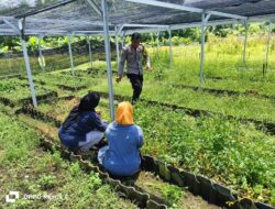 Polsek Hu’u lakukan pemantauan dan pendampingan pertanian warga guna mendukung ketahanan pangan nasional