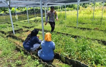 Polsek Hu’u lakukan pemantauan dan pendampingan pertanian warga guna mendukung ketahanan pangan nasional