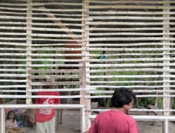 Polsek Asakota Bubarkan Kegiatan Sabung Ayam di Lingkungan Tolotongga