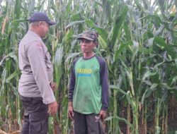 Polsek Kempo Dukung Program Ketahanan Pangan, Pantau Pengolahan Lahan Pertanian Warga