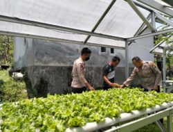 Polres Loteng Apresiasi Masyarakat Manfaatkan Lahan Rumah Untuk Pekarangan Bergizi.