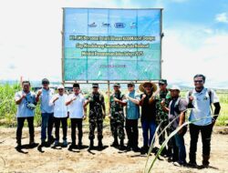 Pangdam IX/Udayana Tinjau Lahan Tebu di Dompu.