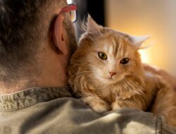 Kucingmu Diam-Diam Mencintaimu? 7 Tanda Ini Buktinya!