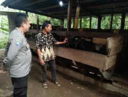 Sinergi Polri-Masyarakat: Program P2B untuk Ketahanan Pangan