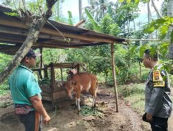 Bhabinkamtibmas Sosialisasi P2B: Manfaatkan Pekarangan untuk Ketahanan Pangan