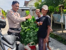 Bhabinkamtibmas Inspiratif: Gerakkan Warga Beleka Wujudkan Swasembada Pangan