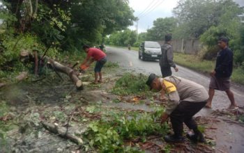 Polsek Rhee Bersama Warga Gotong Royong Evakuasi Pohon Tumbang Di Jalan