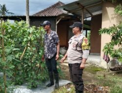 Bhabinkamtibmas Desa Selebung Polsek Batukliang Apresiasi Warga Manfaatkan Lahan Pekarangan untuk Ketahanan Pangan.