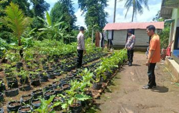 Kanit Binmas Polsek Pringgarata Tinjau Pekarangan Bergizi Milik Warga.