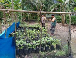 Polres Lombok Tengah Apresiasi Masyarakat Manfaatkan Lahan Kosong untuk Pekarangan Bergizi