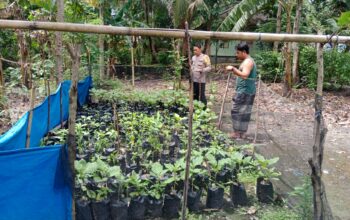 Polres Lombok Tengah Apresiasi Masyarakat Manfaatkan Pekarangan Rumah untuk Pekarangan Bergizi