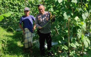 Bhabinkamtibmas Desa Kerembong Polsek Janapria Sambangi Lahan Warga Binaan Dukung Ketahanan Pangan