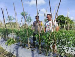 Bhabinkamtibmas Desa Gemel Polsek Jonggat Sambangi Lahan Warga Binaan Dukung Ketahanan Pangan