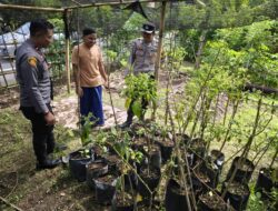 Bhabinkamtibmas Desa Batujangkih Polsek Prabarda Tinjau Pekarangan Bergizi Milik Warga Binaan.