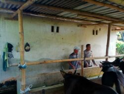 Kapolsek Labuapi Ajak Warga Beternak Sapi, Solusi Ekonomi di Pekarangan
