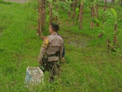 Bhabinkamtibmas Cek Harga Beras: Jaga Stabilitas Pangan!