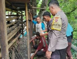 Tak Hanya Jaga Keamanan, Polisi Ini Sukses Gerakkan Ketahanan Pangan Warga